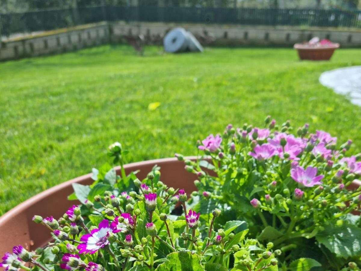 Il Casale Nel Parco Guesthouse Rom Eksteriør billede
